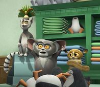 Die Pinguine aus Madagascar – Die Pinguine aus Madagascar (2011)