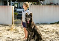 The Last Wave – Thomas (Gaël Raes) hat in einem Straßenhund einen neuen Freund gefunden.