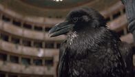 Terror in der Oper – Sa, 28.02., 12:45 Uhr