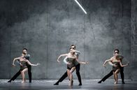 Winterreise – Das Ballett von Christian Spuck mit der Musik von Hans Zender für Schuberts "Winterreise" ist eine komponierte Interpretation.