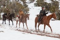 True Grit – Als ihr Vater ermordet wird, sinnt die 14-jährige Mattie Ross (Hailee Steinfeld, l.) auf Rache. Sie heuert den versoffenen Marshall Reuben "Rooster" Cogburn (Jeff Bridges, r.) an. Gemeinsam mit ihm und dem Texas Ranger LaBoeuf (Matt Damon, M.), der die Kopfprämie kassieren will, jagen sie dem Flüchtigen hinterher ...