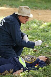 Navy CIS – David McCALLUM; NCIS - SAISON 11 ECHANGE DE MEURTRES Photographe: CBS BROADCASTING INC ALL RIGHTS RESERVED Ville: Los Angeles