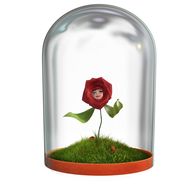 Der kleine Prinz – Die Rose - Sie ist die Große Liebe des kleinen Prinzen. Alleine wartet sie auf ihrem Heimatplaneten auf die Briefe vom kleinen Prinzen und seinen Abenteuern.