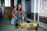 Kommissar Rex – Matzner will sich an Kommissar Moser rächen und lässt durch Prantz (Leonard Lansink) Rex entführen. Falls Moser seine Anklage gegen Matzner nicht fallen lässt, soll Rex getötet werden ...