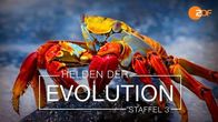 Helden der Evolution – Fr, 17.10., 15:40 Uhr