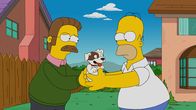 Die Simpsons – Die Simpsons (2015)