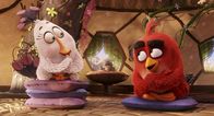 Angry Birds - Der Film – L - R: Matilda, Red