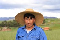 Unsere Kontinente – Der Ursprung der Kartoffel liegt in Südamerika, wo bis heute zahlreiche Kartoffelsorten angebaut werden. Viele peruanische Familien in den Anden verdienen ihren Lebensunterhalt durch Landwirtschaft.