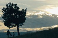 SRF DOK: Mutter unter Vertrag - Leihmutterschaft in Georgien – Der Film erzählt von Liebe, Aufopferung und dem Kampf einer Mutter für eine bessere Zukunft für ihre Tochter.