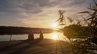 Doktor Ballouz – Ballouz (Merab Ninidze) und Eva (Helene Grass) picknicken auf einem Steg an einem See bei Sonnenuntergang.