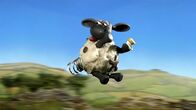 Shaun das Schaf – Eine Feder am Po, so macht Timmy große Sprünge.