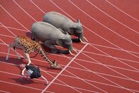Athleticus – Die Tiere beim 100-Meter-Lauf