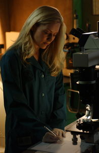 CSI: Miami – CSI: Miami (2003)