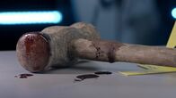 Täterjagd – Schnell stellt sich heraus, dass er vor seinem Tod gefoltert wurde.