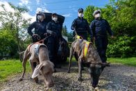 Aktenzeichen XY... Vermisst – Der 48-jährige Henning Vogt verschwindet plötzlich an einem Sonntag im September 2021. Umfangreiche Suchmaßnahmen der Polizei führen ins Leere.