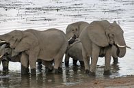 Unentdecktes Nordnamibia – Unentdecktes Nordnamibia (2019)