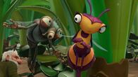 Insectibles – Insectibles (2014-2016)