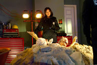 CSI: Vegas – CSI: Vegas (2014)