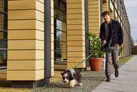 In aller Freundschaft – Jakob Heilmann (Karsten Kühn) hat endlich mal wieder einen freien Tag und muss sich nicht um sein Restaurant kümmern. Ausgerechnet an diesem Tag drückt Otto ihm einen zugelaufenen Hund aufs Auge. Genervt macht Jakob sich auf den Weg und muss schnell feststellen, dass dieser Streuner ungeahnte Talente hat.