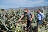 Gordon Ramsay: Kulinarische Abenteuer – Fr, 27.12., 12:55 Uhr