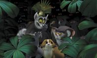 Madagascar – L-R (vorne): Julien, Mort, Maurice