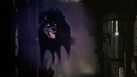 Devil Dog – Mi, 01.07., 01:35 Uhr