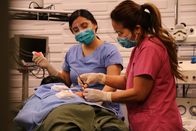 Dr. Pimple Popper – Dr. Lee takes out Jonathan's Lipoma.