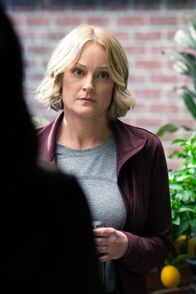 Navy CIS – Vivian Kolchak (Teri Polo)