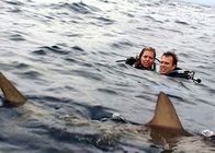 Open Water – Wenn ein Albtraum Wirklichkeit wird: Susan (Blanchard Ryan, l.) und Daniel (Daniel Travis, r.) ...