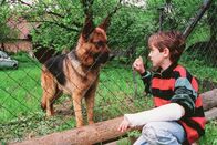 Kommissar Rex – Rex versucht einen Bub (Andreas Jägersberger) dazu zu bringen, ihn aus seinem Gefängnis zu befreien.