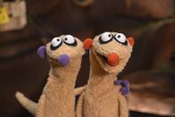 Unser Sandmännchen – Ein merkwürdiges Geräusch hält die Erdmännchen Jan & Henry vom Schlafen ab.