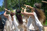 Stadt Land Kunst – Der Hula ist ein hingebungsvoller Tanz. Seine geschmeidigen Wellenbewegungen sind ein echter Mythos und stehen stellvertretend für die hawaiianische Kultur.