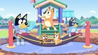 Bluey – L-R: Bandit, Chilli, Bingo, Bluey