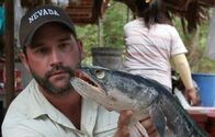 Zeb Hogans Monsterfische – After myriad attempts to catch a giant snakehead, biologist Zeb Hogan finally finds one — at a local fish market. The Thai people regularly eat the snakehead, and street vendors often barbecue and sell it from their carts.