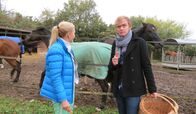 Krause kommt! – Ein Besuch im Pferdestall: Gaby Hautmann und Pierre M. Krause.