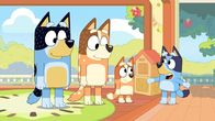 Bluey – L-R: Bandit, Chilli, Bingo, Bluey