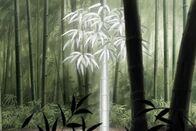 Mushi-Shi – Fr, 27.09., 22:55 Uhr