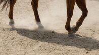 Yellowstone – Di, 22.10., 22:05 Uhr