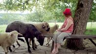 Landleben – Falkensteiner Landwirtin mit ihren Schafen.