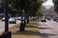 Kunst muss raus – "7.000 Eichen - Stadtverwaldung statt Stadtverwaltung" in Kassel ist eine Aktion von Joseph Beuys, die mehrere Jahre in Anspruch nahm.