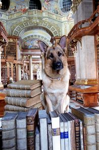 Kommissar Rex – Rex in der Nationalbibliothek.