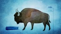 Terra X: Europa in ... – Der Steppenbison war ein gefährlicher Riese. Genetisch ist er ein Vorfahr des amerikanischen Bisons.