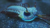 Katastrophen der Erdgeschichte – Trilobiten sind Gliederfüßer, die zu Beginn des Kambriums auftreten. Sie gelten als die ältesten Vielzeller.