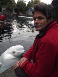 Geheimakte Wildnis – Vancouver, British Columbia, Canada - Dr. Lance Barrett Lennard with a Beluga whale at Vancouver Aquarium.