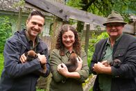 Hoagascht – Moderator Richard Deutinger (links), Kathrin Essl (mitte) und Berufsjäger Rupert Essl (rechts) mit Welpen, während ServusTV's Hoagascht AT "Der Berufsjäger" im Blühnbachtal, Salzburg, Österreich am 03.07.2024.