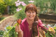 Querbeet – Moderatorin Sabrina Nitsche mit frisch geernteter gelber und roter Bete.