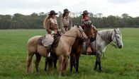 Matthiesens Töchter – Nach Jahren der Funkstille, sind die Schwestern Esther (Julia Jäger, re.), Rahel (Ulrike C. Tscharre, Mitte) und Thirza (Anja Antonowicz) auf den mittlerweile heruntergekommenen Reiterhof zurück gekehrt.