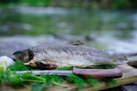 Die Genussbäuerin – Gegrillter Fisch und Messer
