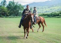 Hawaii Five-0 – Hawaii Five-0 (2018)