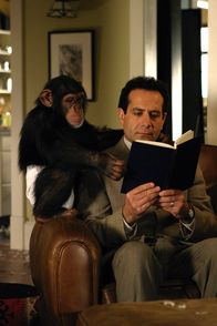 Monk – Adrian Monk (Tony Shalhoub) soll die Unschuld des Schimpansen Darwin beweisen, denn der wird verdächtigt, sein Herrchen erschossen zu haben ...